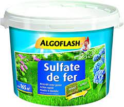 Scheda Di Memoria CompactFlash 1GB - Per Fotocamere Digitali, Velocità 160MB/s - Foto 8