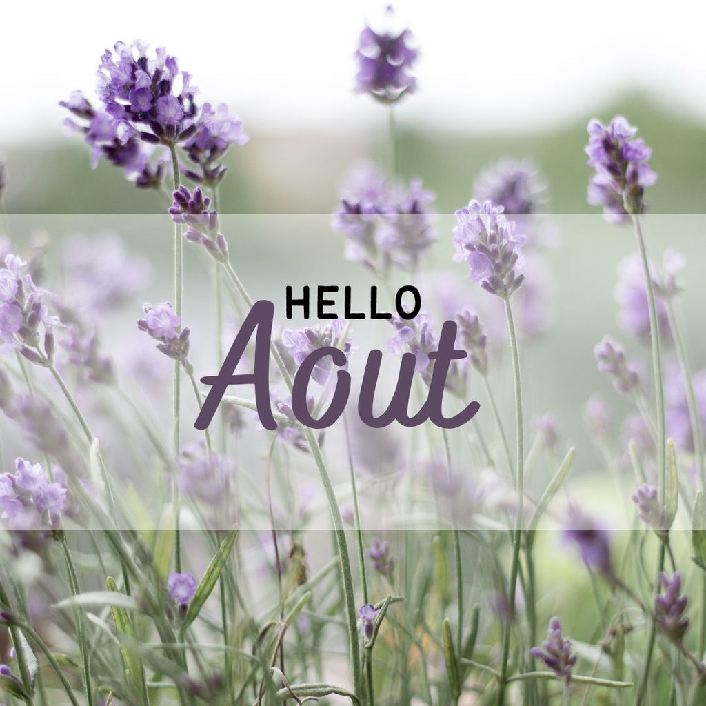 Que faire en Aout dans son jardin ?