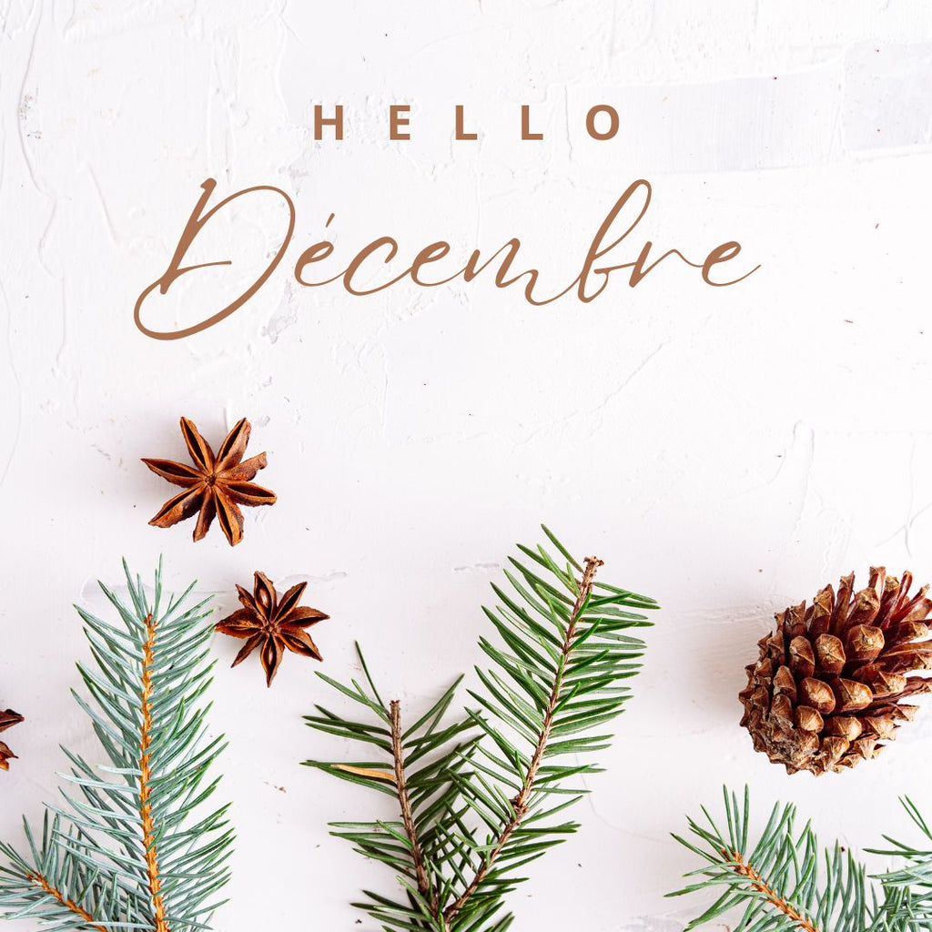 Que faire en Décembre dans son jardin ?