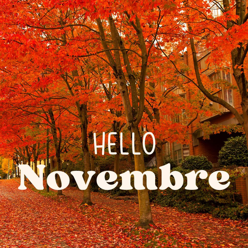 Que faire en Novembre dans son jardin ?