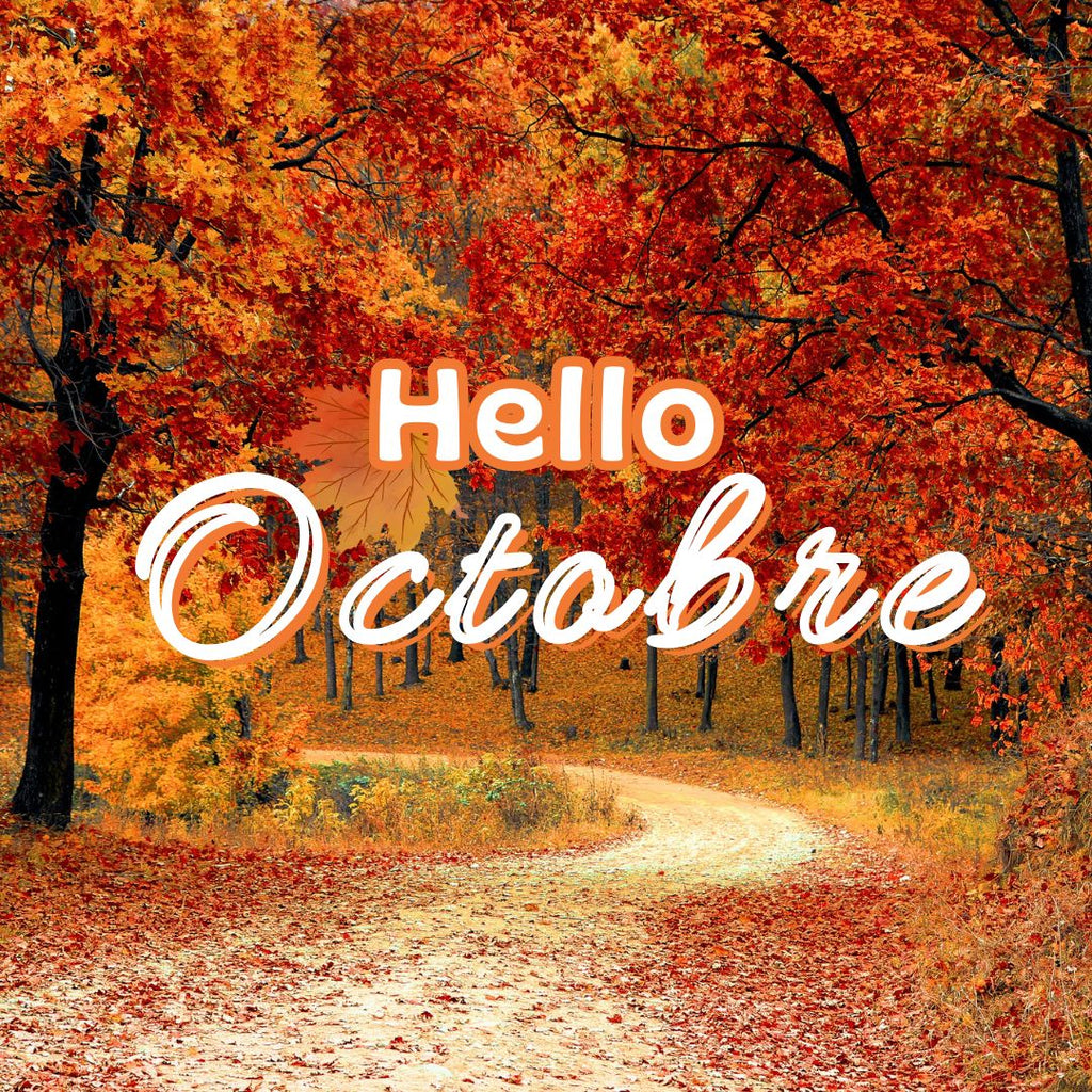 Que faire en Octobre dans son jardin ?