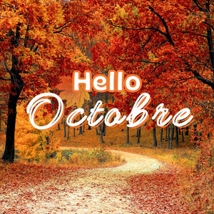 Que faire en Octobre dans son jardin ?