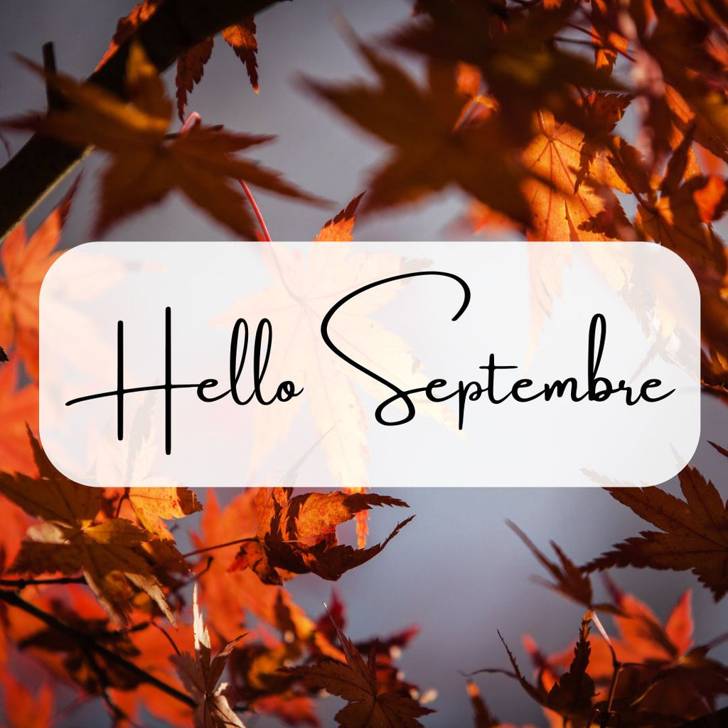 Que faire en septembre dans son jardin ?