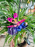 Papillon Solaire